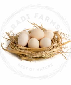 Balady Eggs