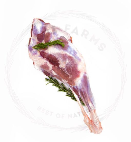 Lamb Leg