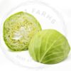Cabbage
