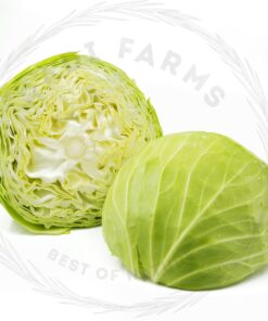 Cabbage