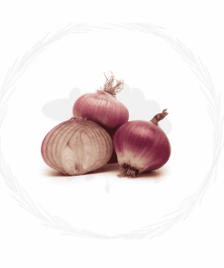fresh onion