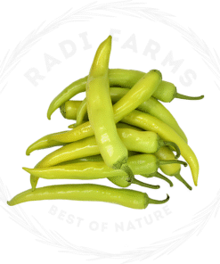 Chili Pepper Mild - فلفل أخضر معتدل