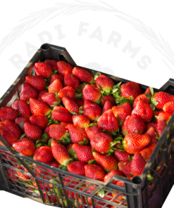 Strawberry Box