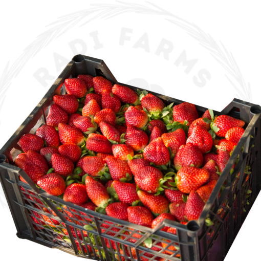 Strawberry Box