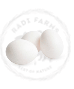 White Eggs - بيض أبيض