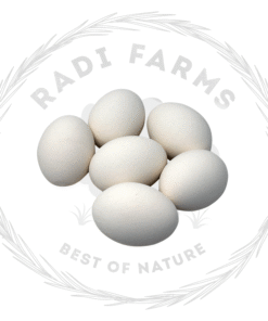 White Eggs - بيض أبيض