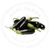 Stuffing Black Eggplant - باذنجان حشو أسود