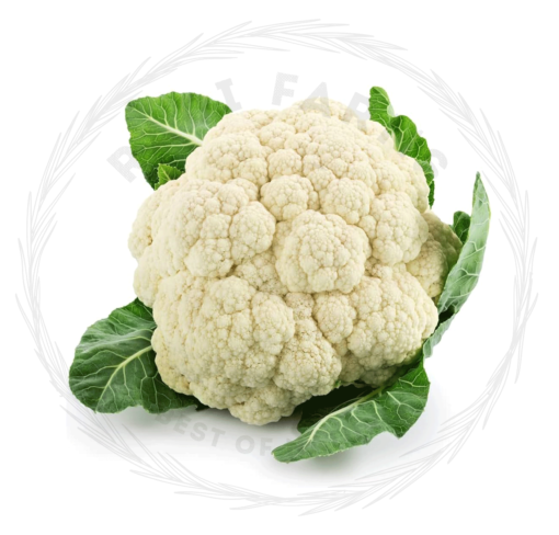 Cauliflower-  قرنبيط