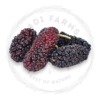Mulberries - مالبيري