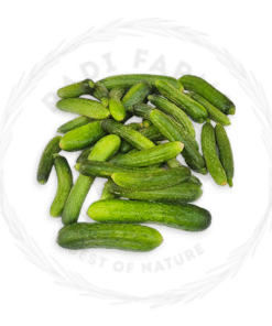 Pickling Cucumber - خيار تخليل