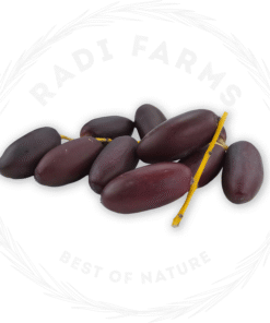 Rutab Dates - بلح رطب حياني