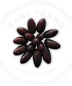 Alternative view of Rutab Dates - بلح رطب حياني