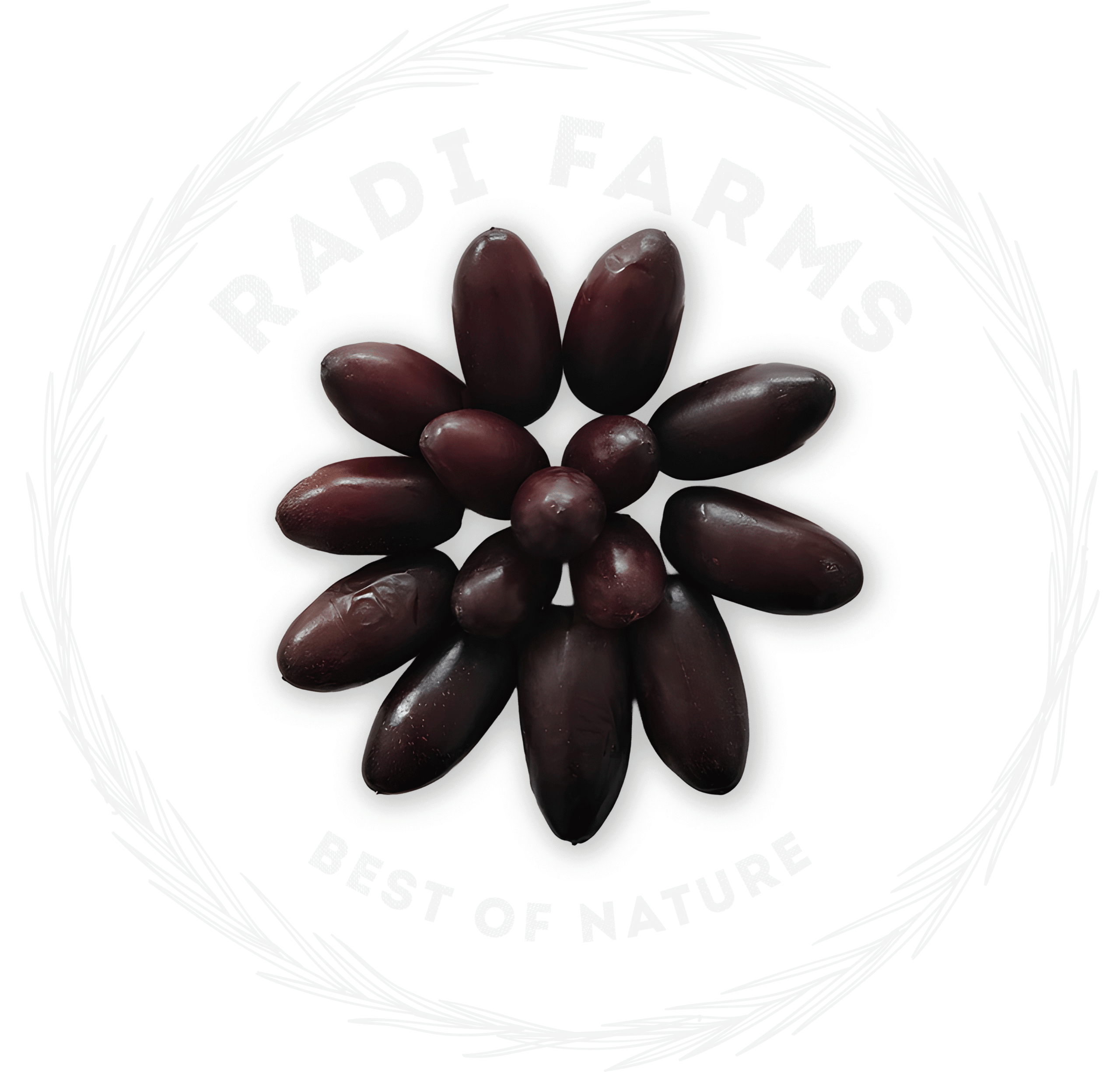Rutab Dates - بلح رطب حياني - Image 2